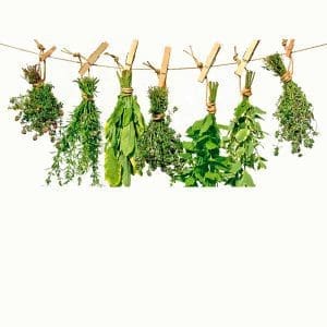 hierbas-para-limpiar-el-hogar-en-chicago