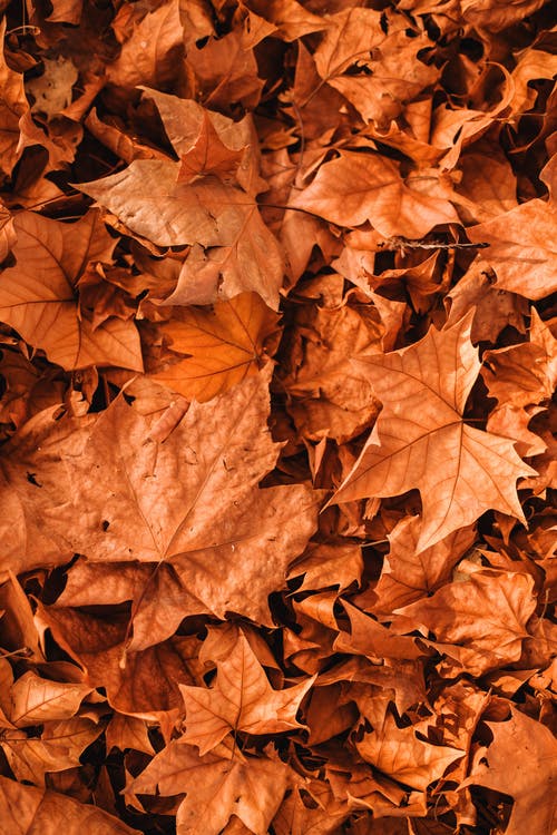 ¿Que significa el otoño espiritualmente?