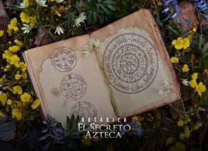 horoscopo para 2022