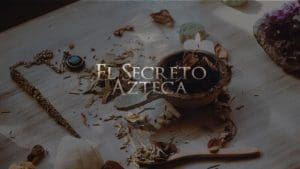 Para qué sirve cada hierba de una botánica