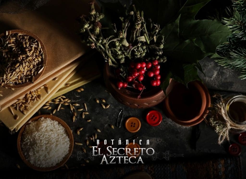 conoce los inicios del curanderismo