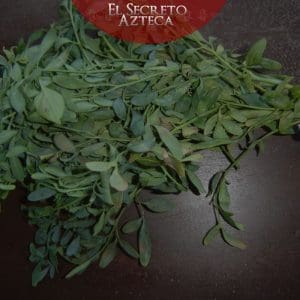 las plantas medicinales de un curadero