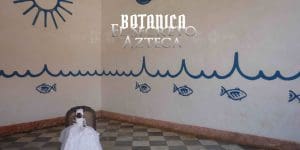 inicia en la santeria aprende como hacerlo