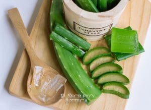 los beneficios del aloe vera