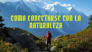 Revelando La Magia: Como Conectarse Con La Naturaleza