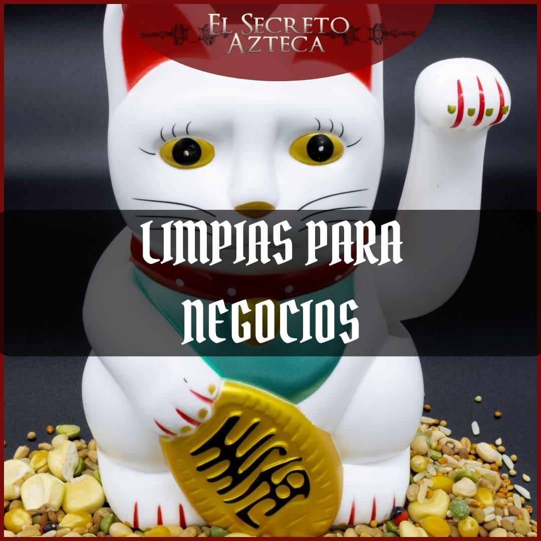 Limpieza Espiritual general en Chicago IL — El Secreto Azteca