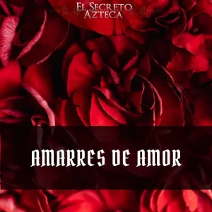 amarres de amor en chicago